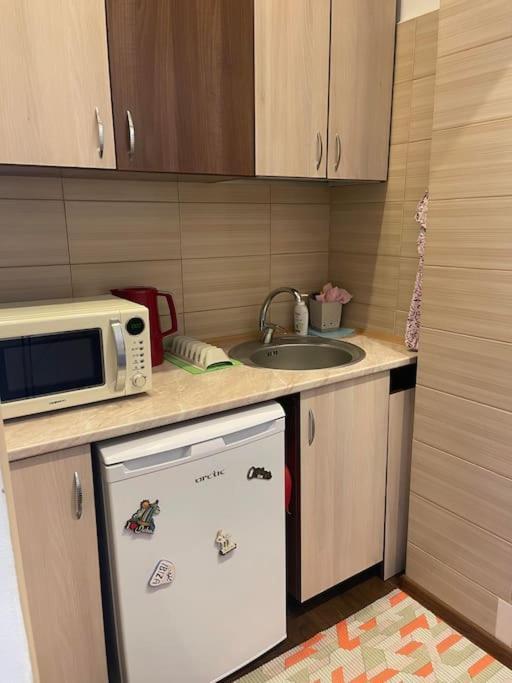Lovely 1 Bedroom In Center Bucareste