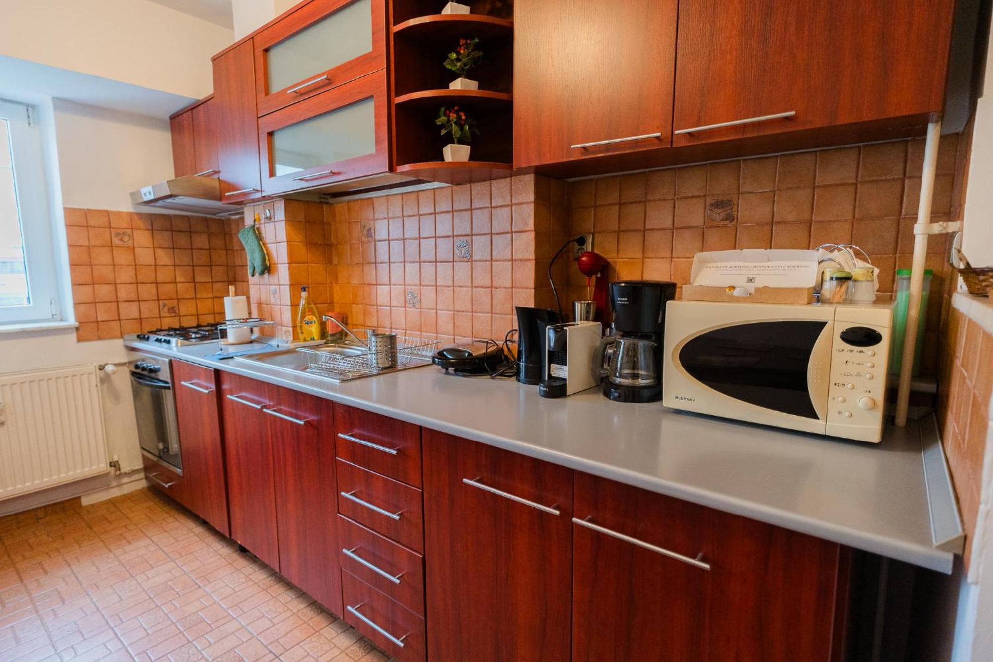 Spacious Near City Center Apartament *