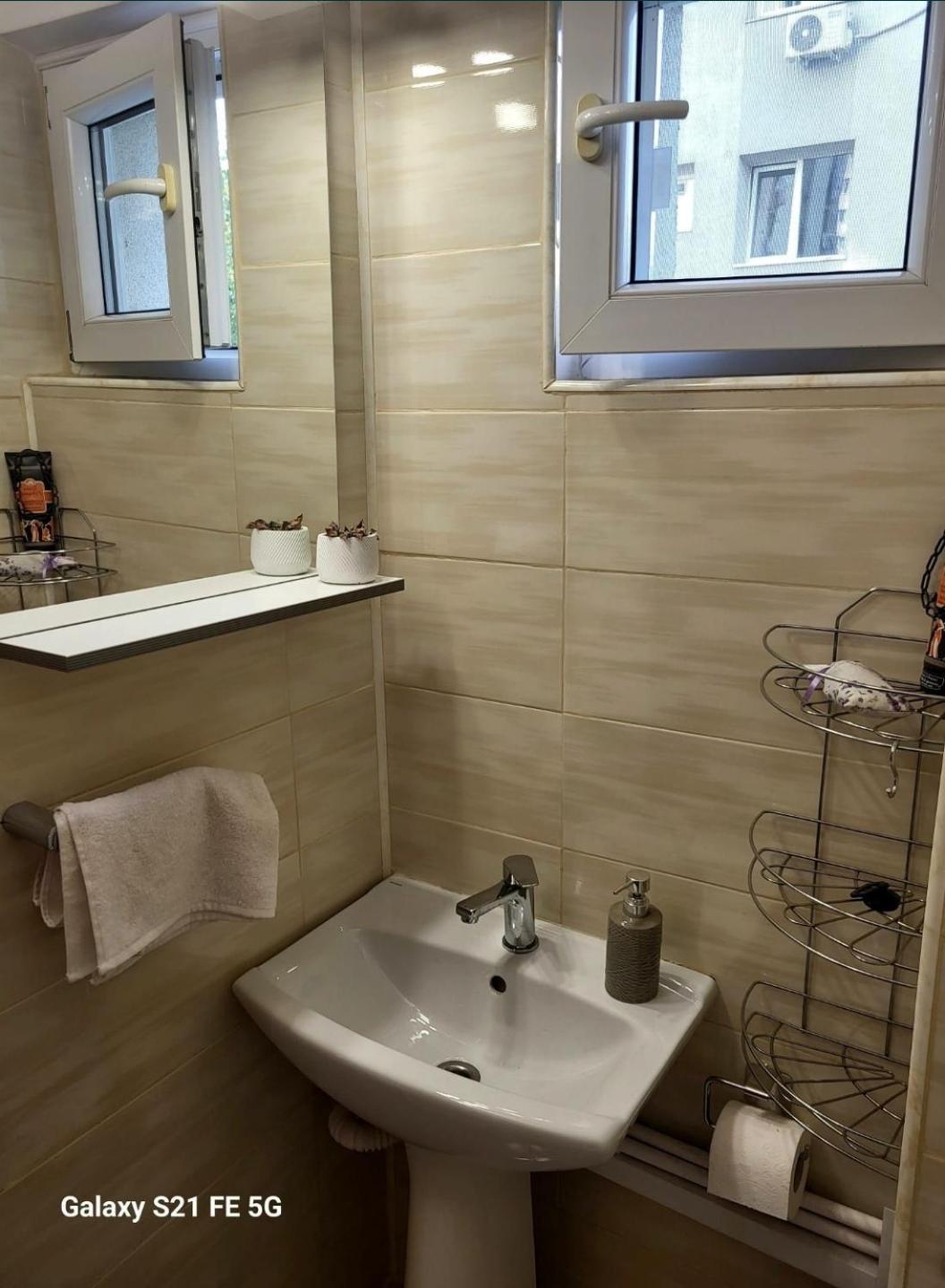 Apartment Garsoniera Auchan Titan Bucharest