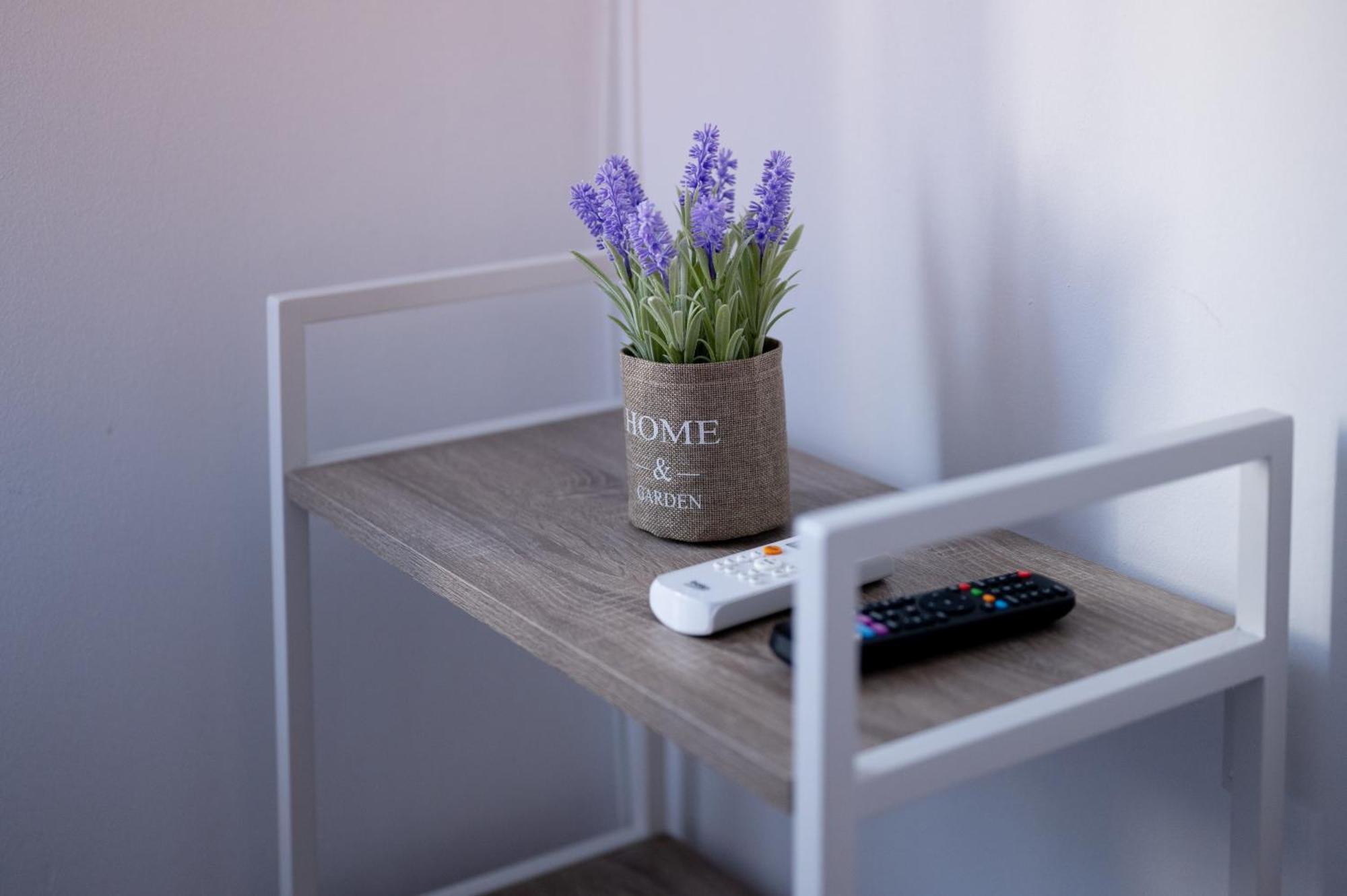 Moise House - Kosher Apartament 3*