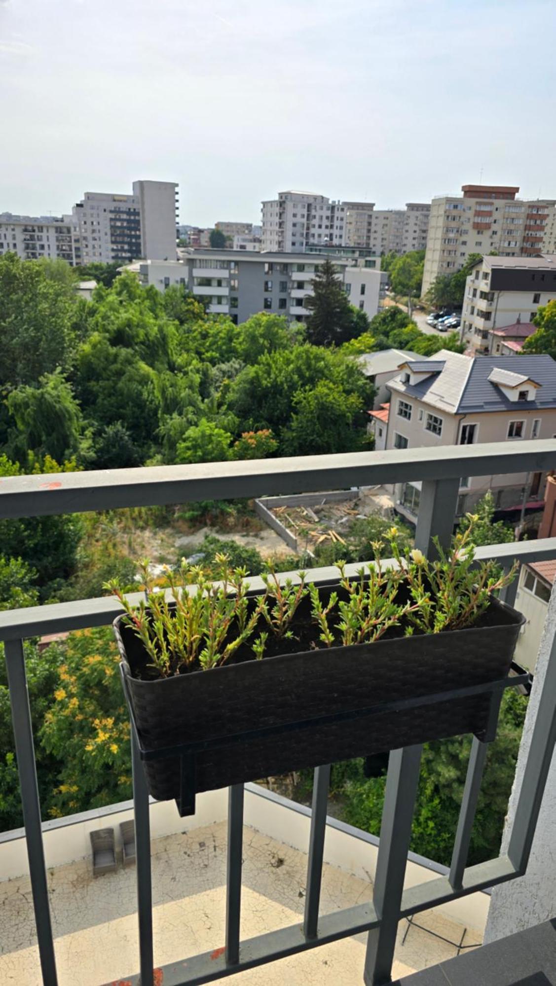Cosy One Bedroom Apartament