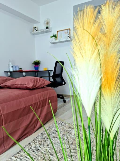 Ultracentral Magheru Studio Apartment