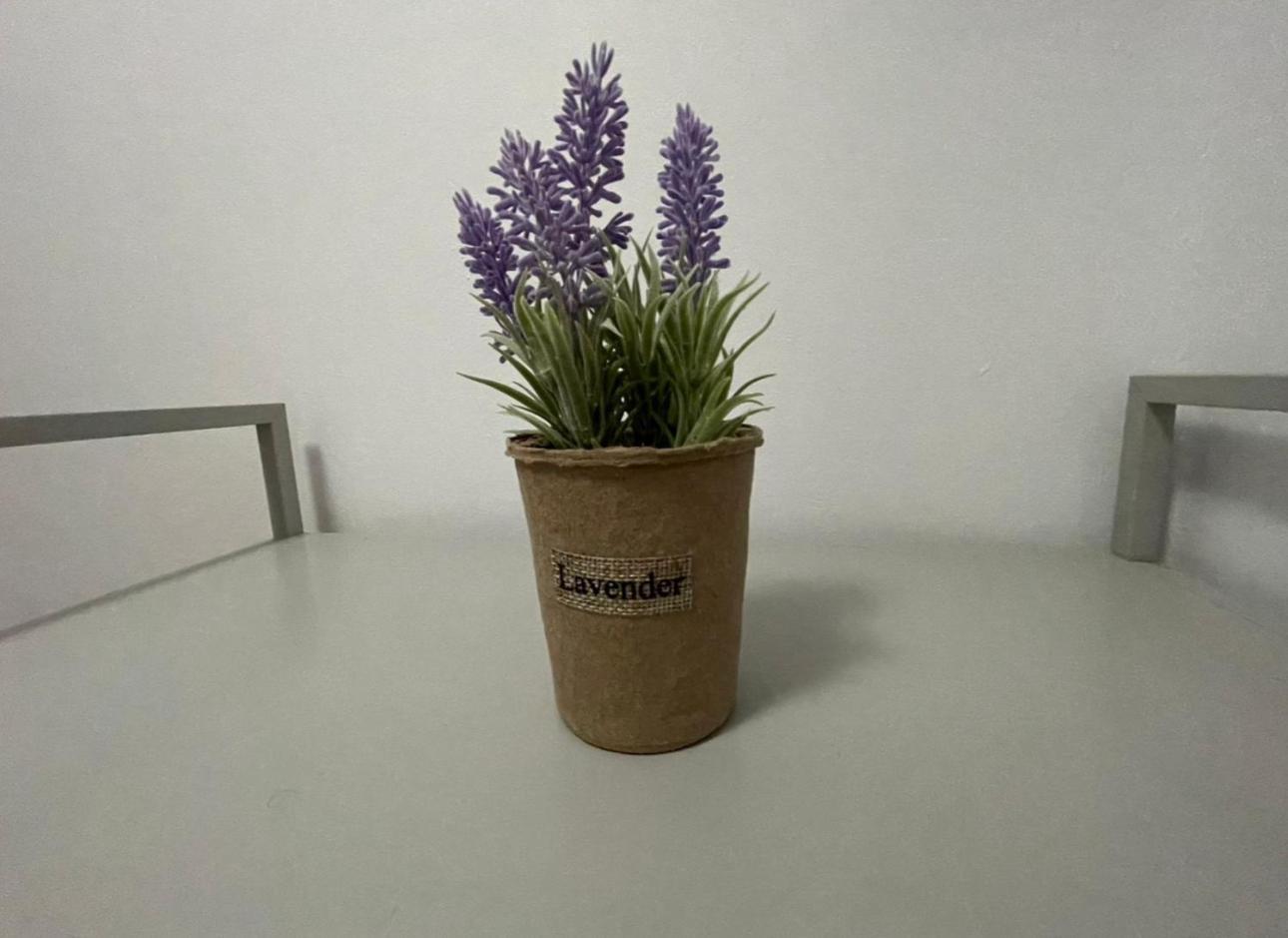 Conta Apartamento *