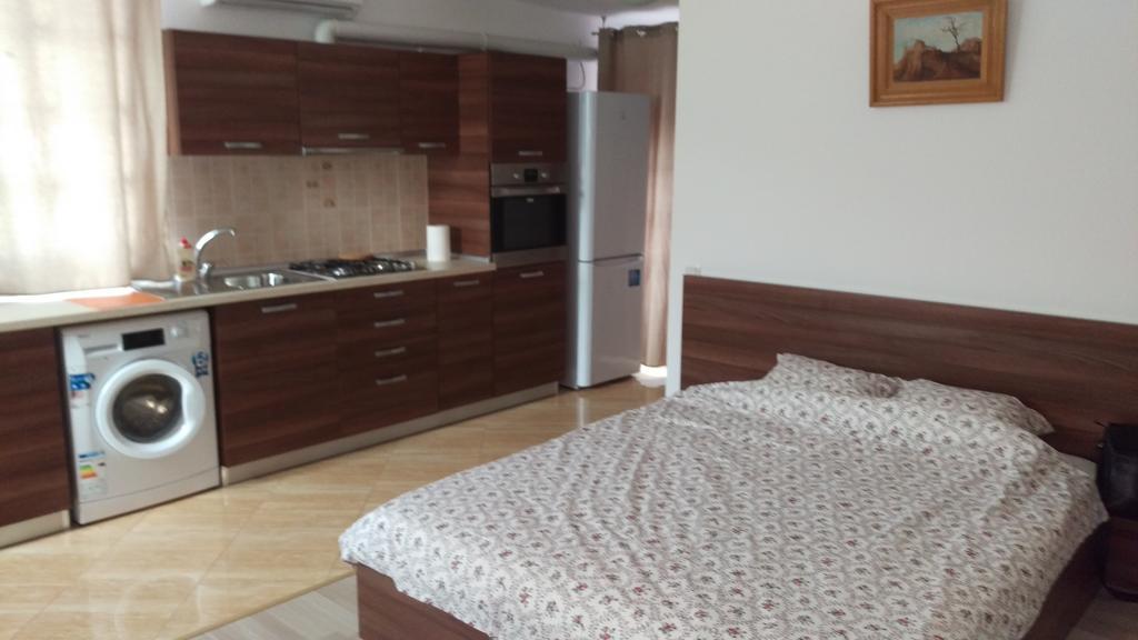 Garsoniere Dinu Apartment Bucharest