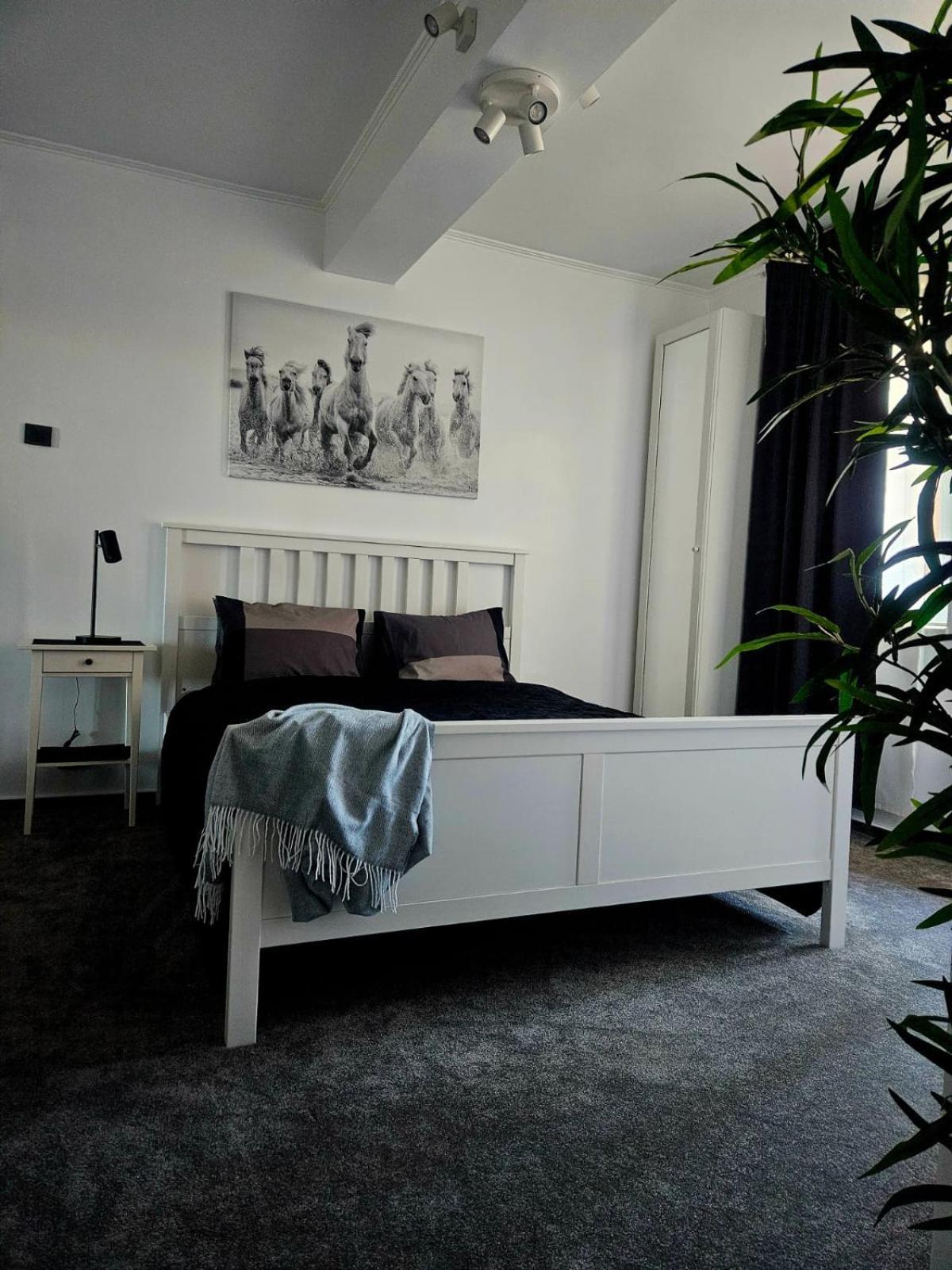 Apartment Cismigiu *