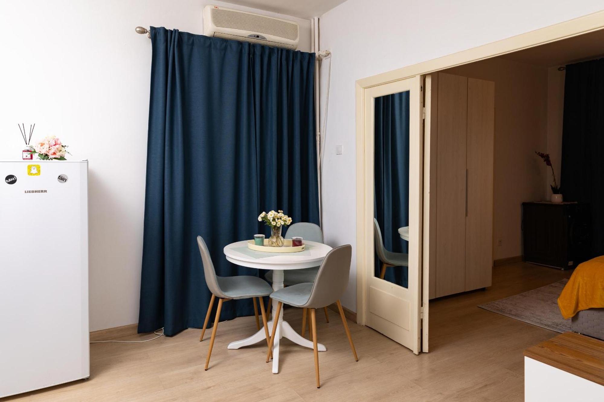 Old Cozy Apartamento Bucareste