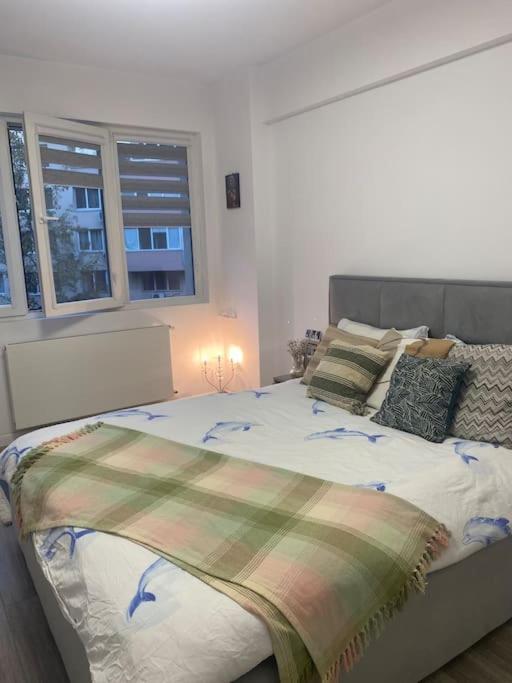 Modern & Cozy *