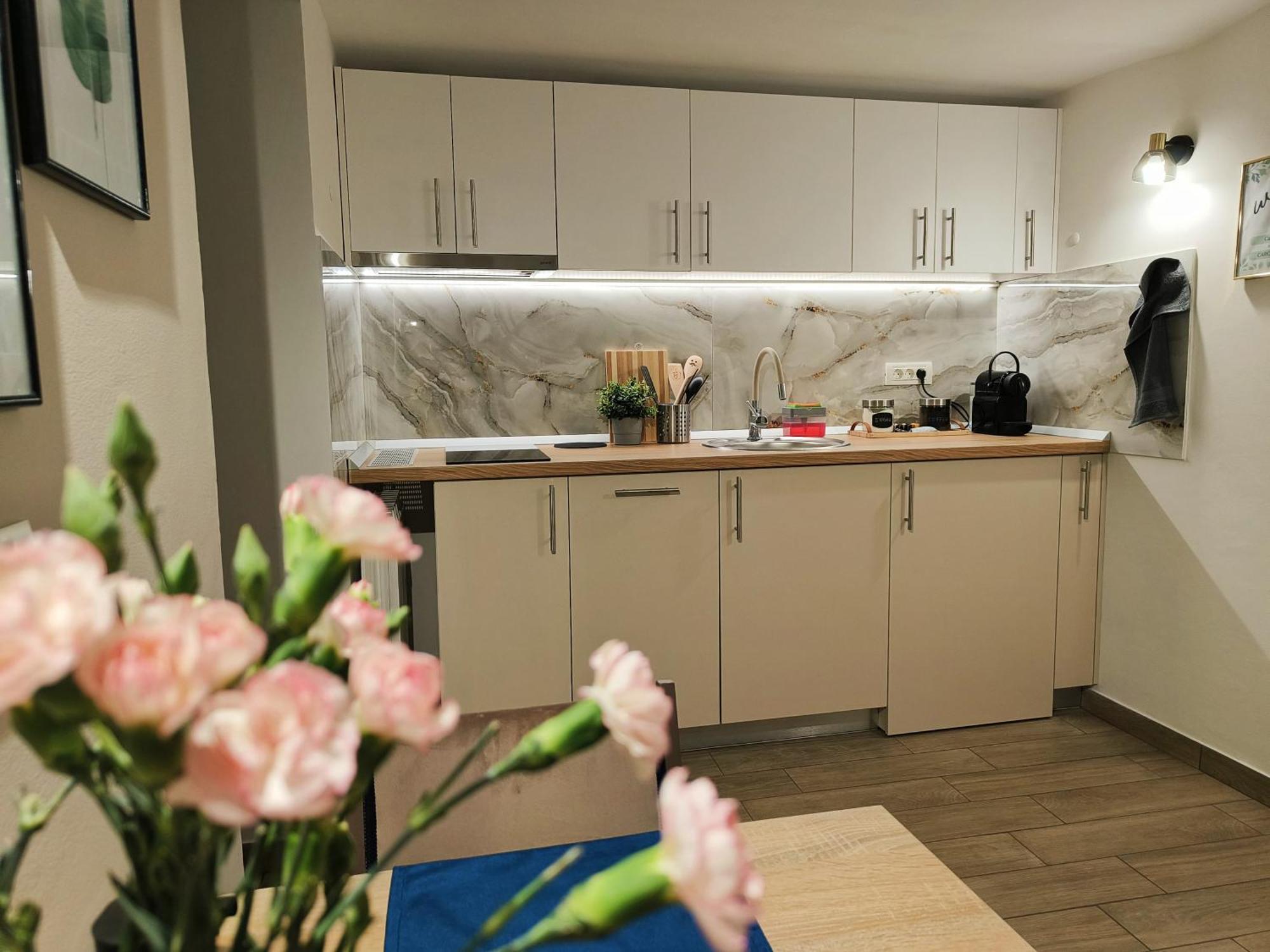 Apartment Carol Luxury