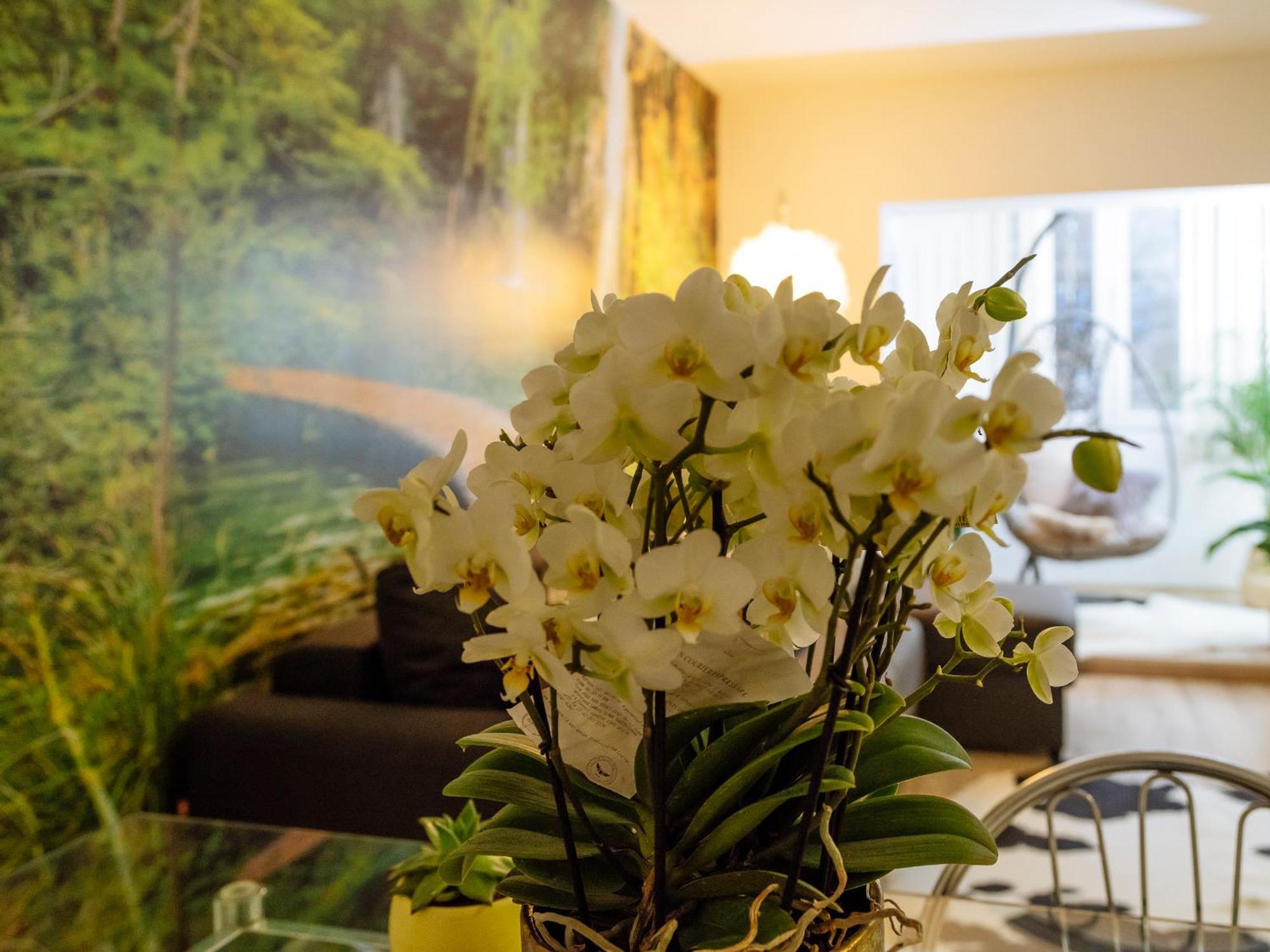 Apartment Zen Life Luxury - Herastrau