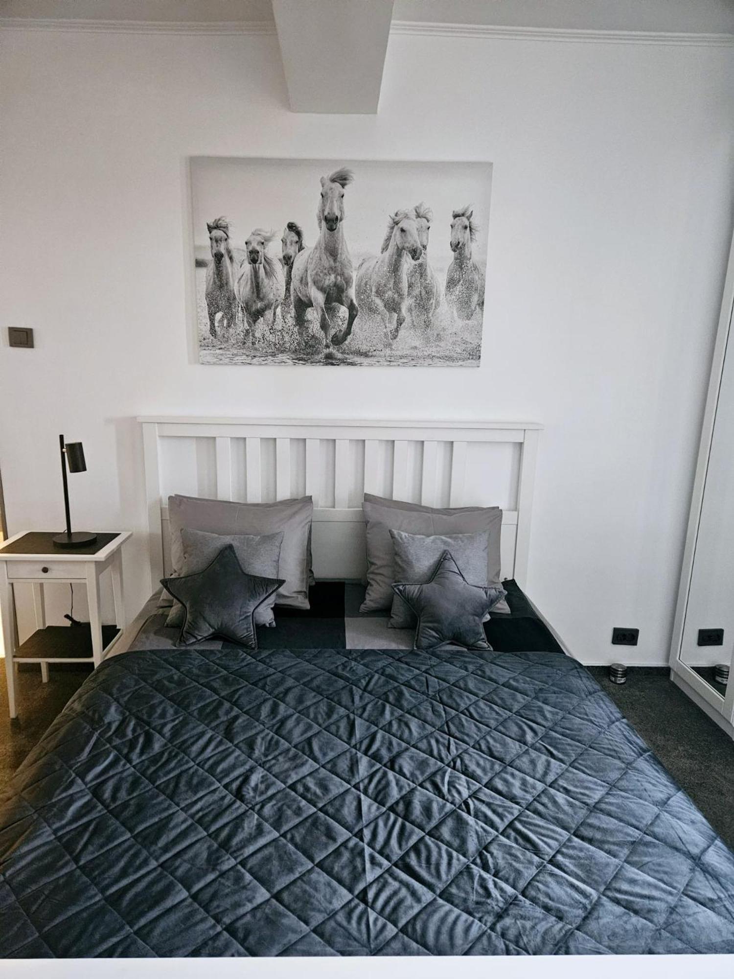 Apartment Cismigiu *