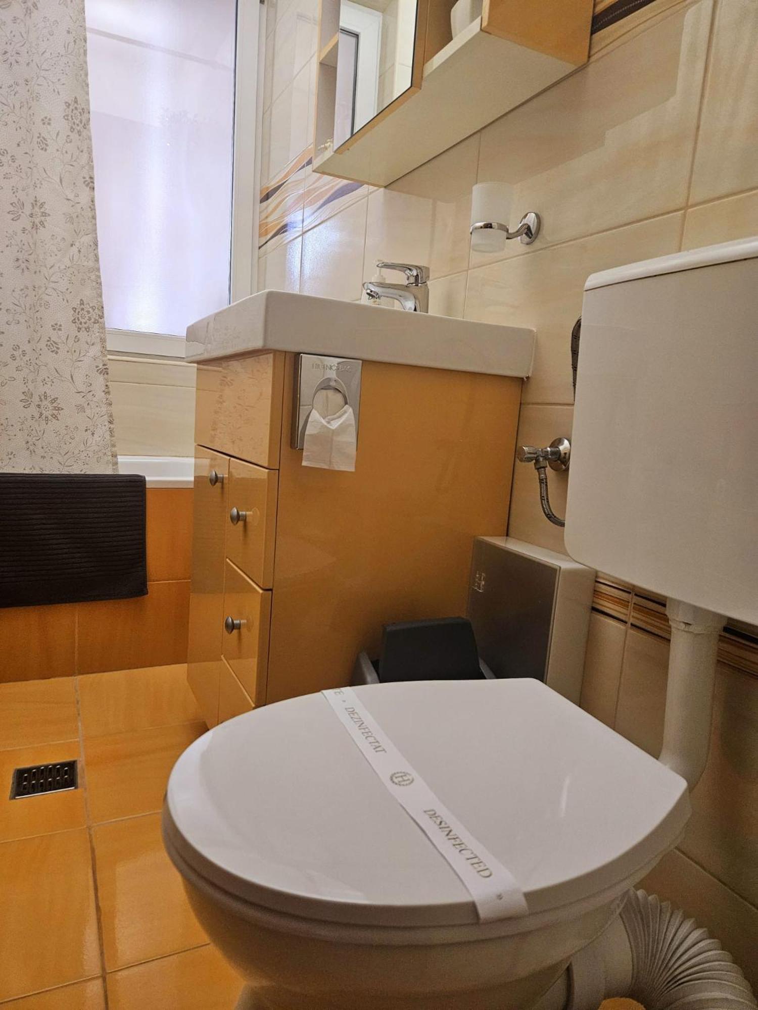 Cismigiu Apartment *