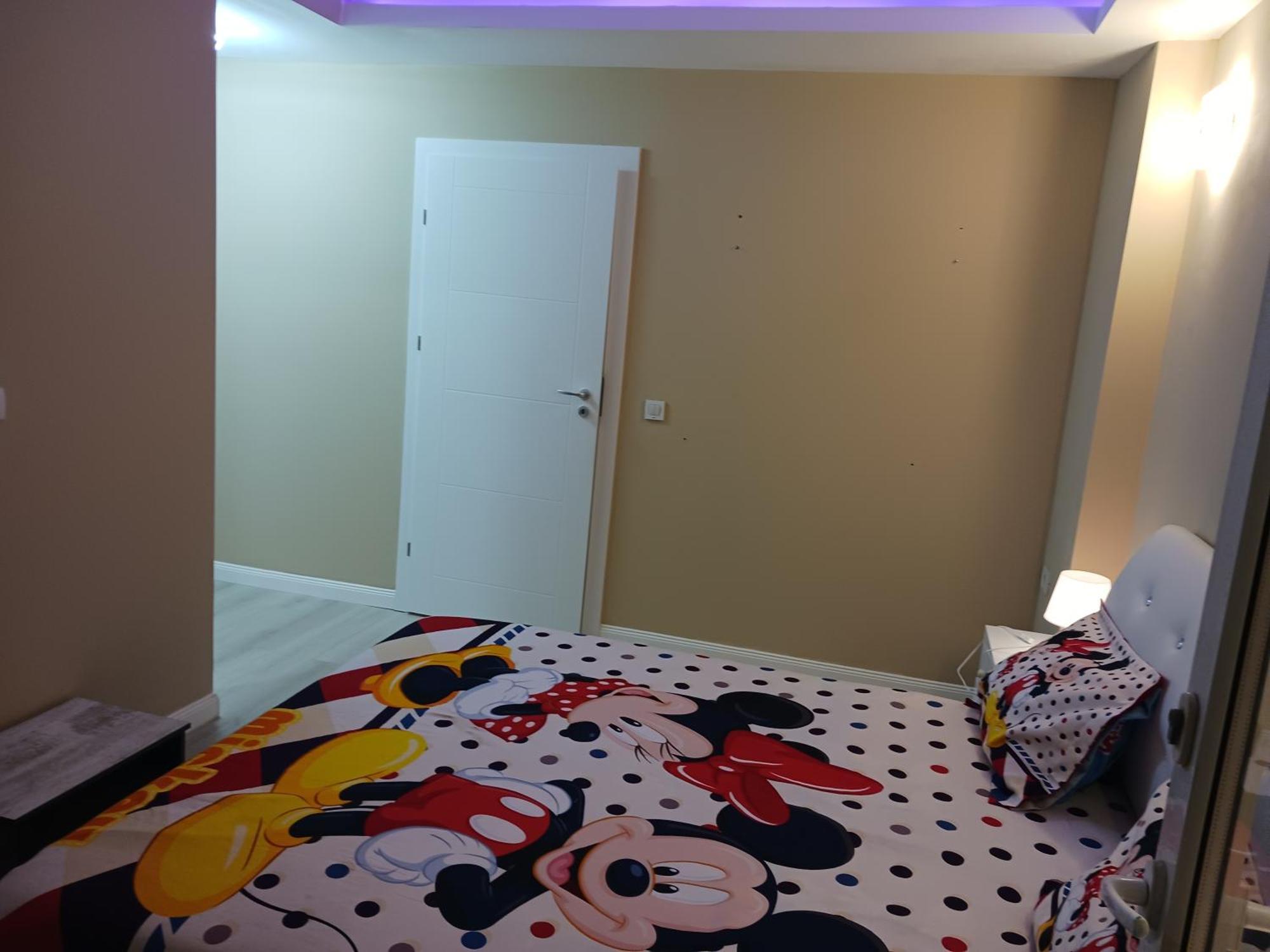 Apartamento Myky Mouse Nu Primesc Santieristi Si Petrecareti *