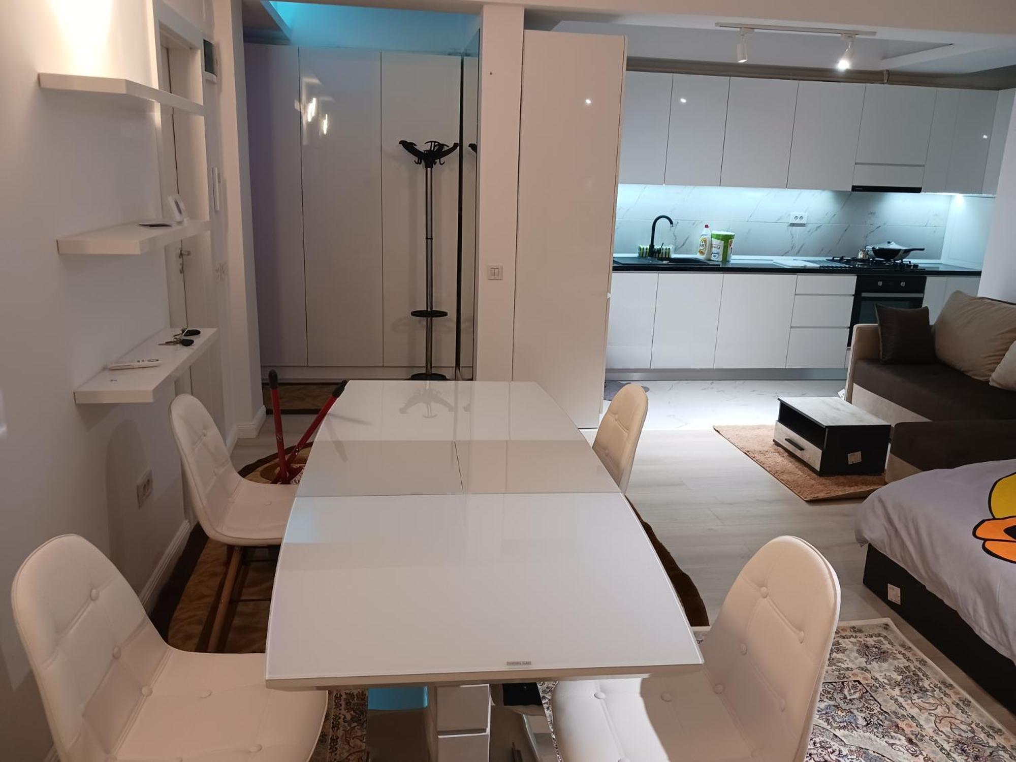 Myky Mouse Nu Primesc Santieristi Si Petrecareti Apartamento Bucareste