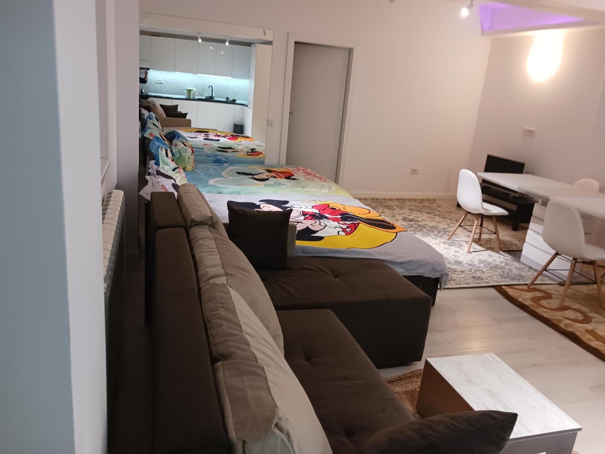 Myky Mouse Nu Primesc Santieristi Si Petrecareti *