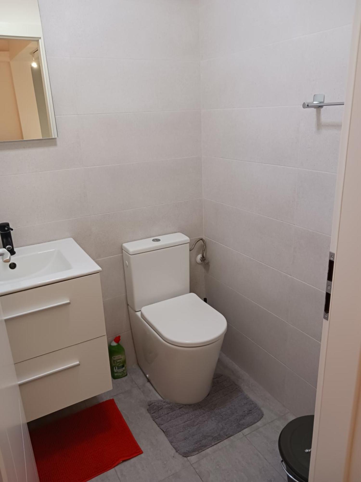 Apartamento Myky Mouse Nu Primesc Santieristi Si Petrecareti