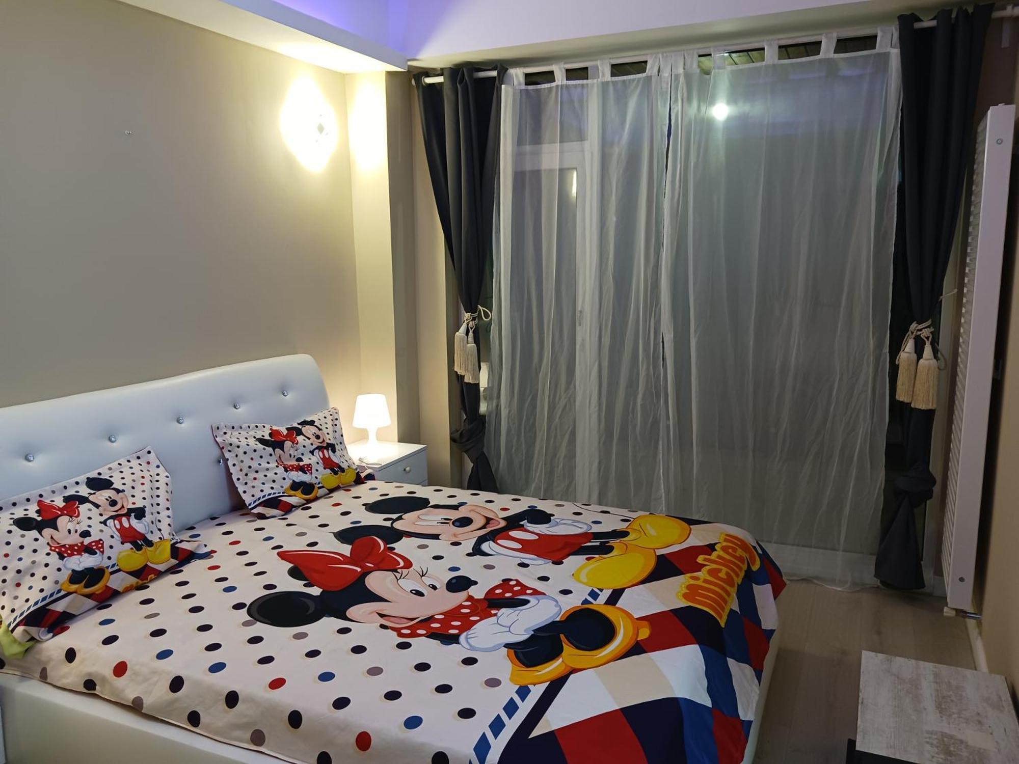 Myky Mouse Nu Primesc Santieristi Si Petrecareti Apartamento *