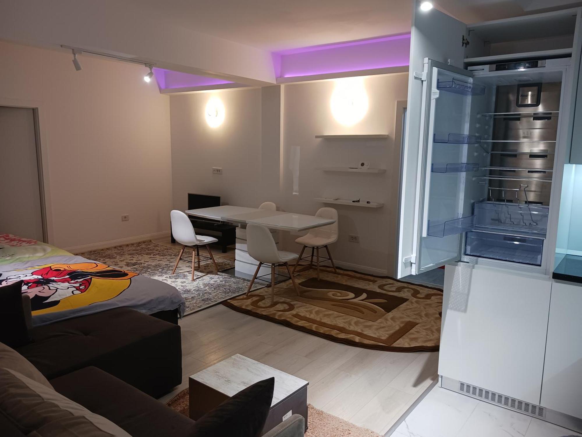 Apartamento Myky Mouse Nu Primesc Santieristi Si Petrecareti *