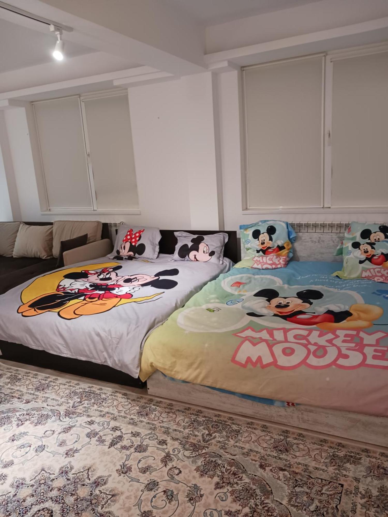 Myky Mouse Nu Primesc Santieristi Si Petrecareti * Bucareste