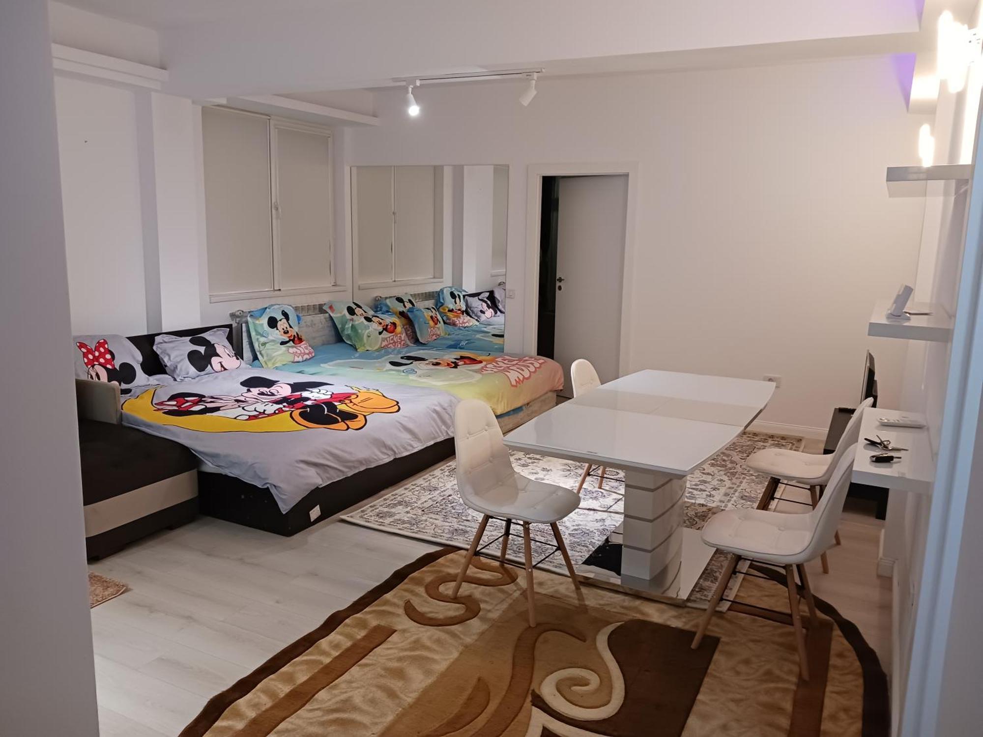 Myky Mouse Nu Primesc Santieristi Si Petrecareti Apartamento *