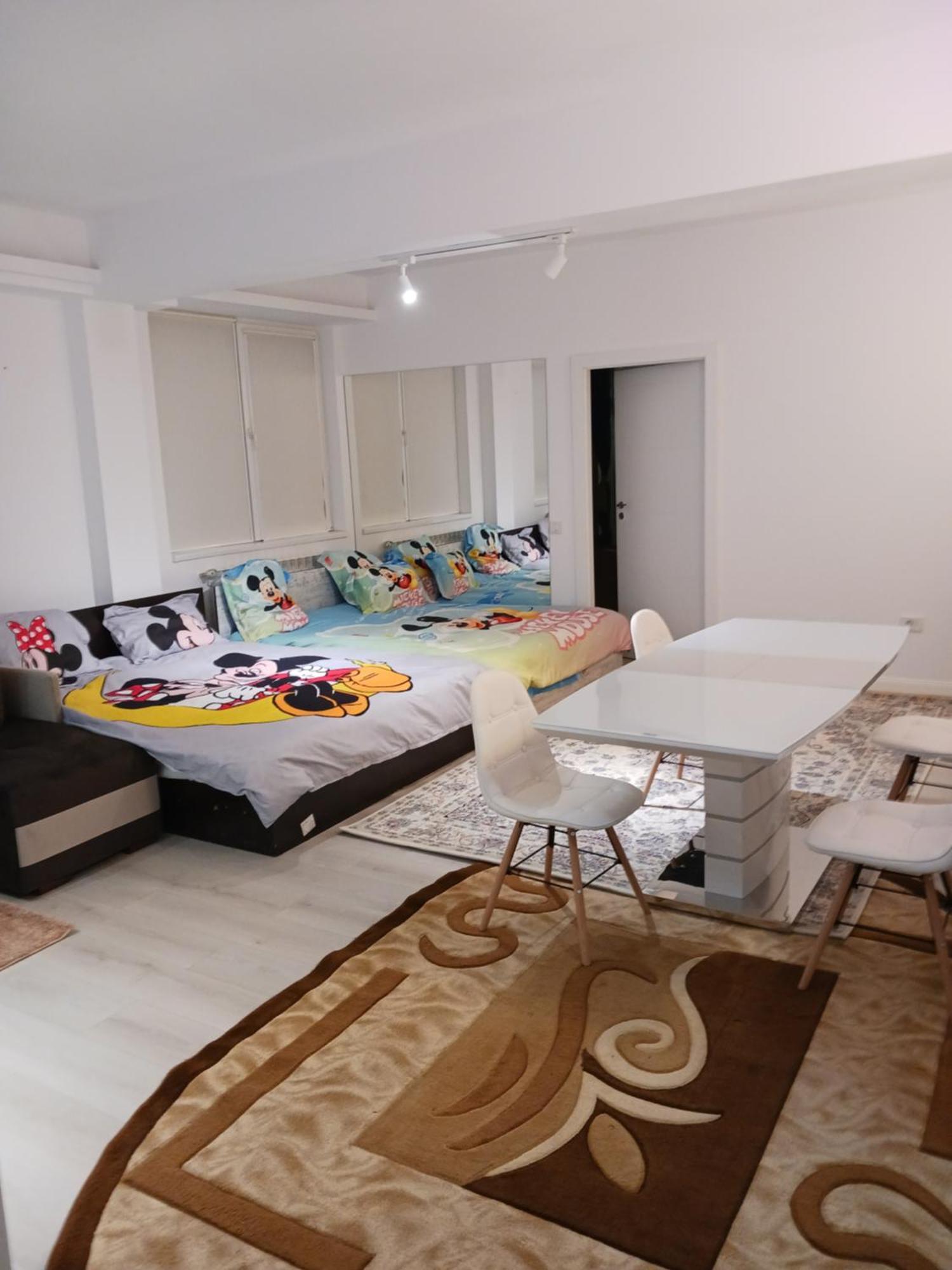Apartamento Myky Mouse Nu Primesc Santieristi Si Petrecareti *