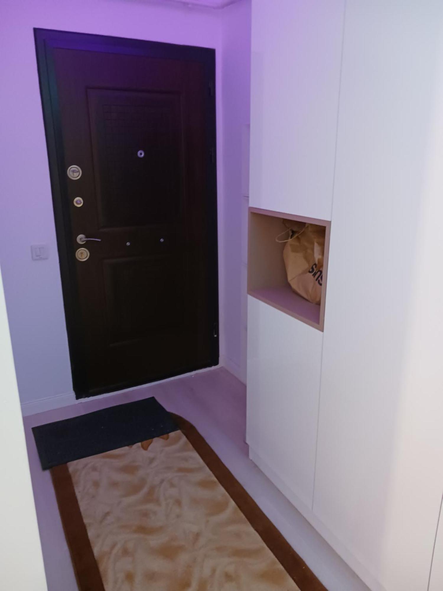 Myky Mouse Nu Primesc Santieristi Si Petrecareti