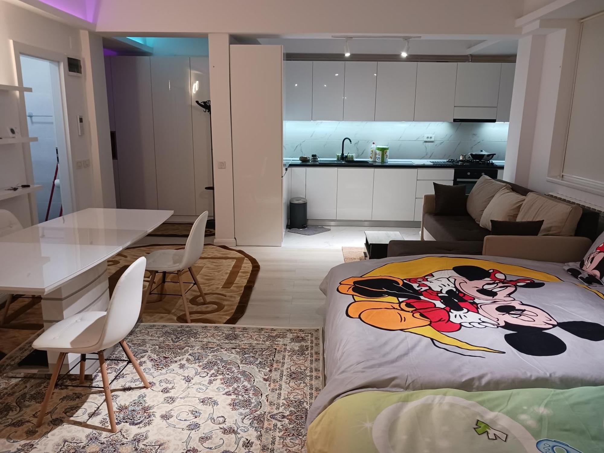 Apartamento Myky Mouse Nu Primesc Santieristi Si Petrecareti