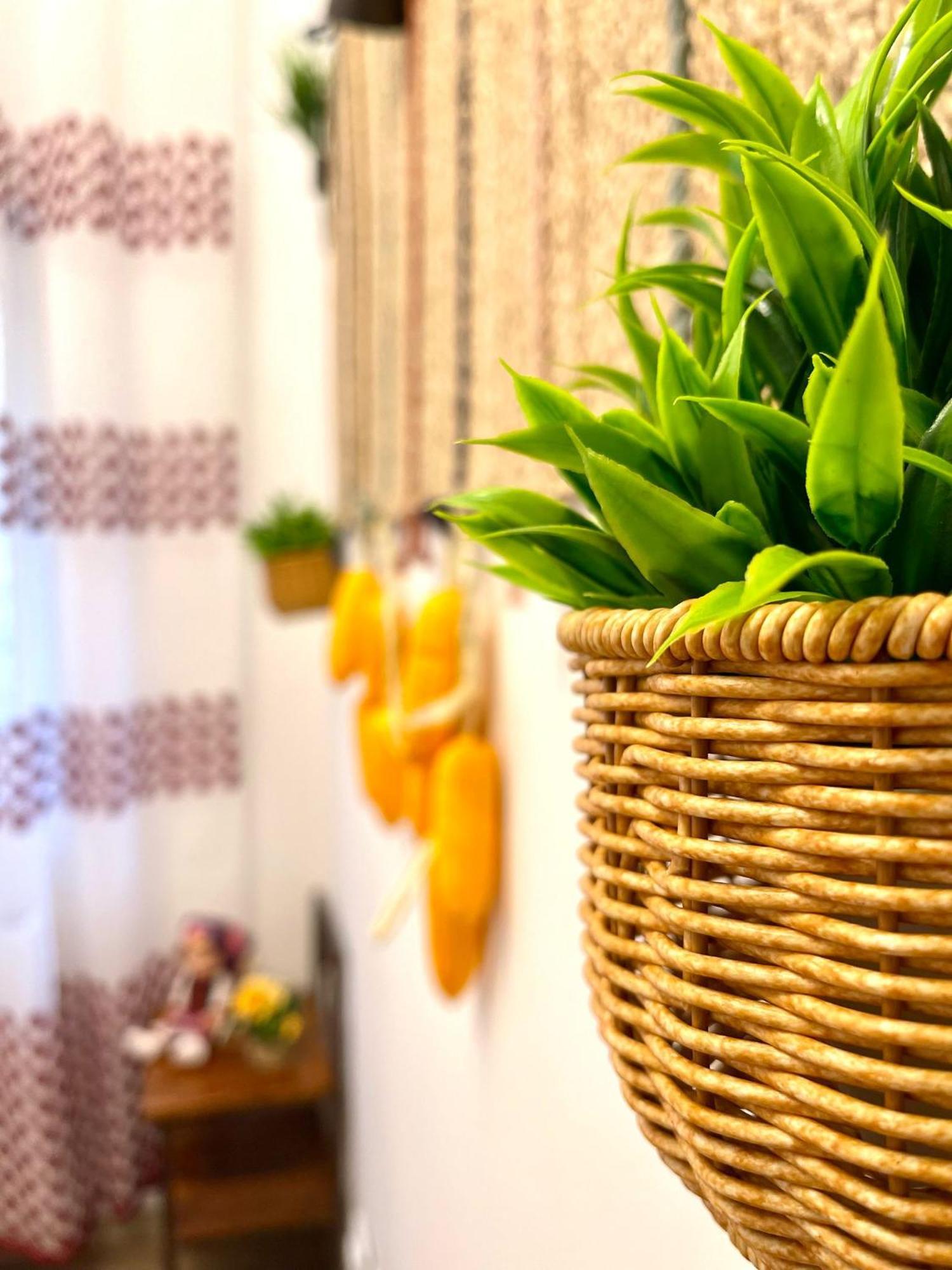 Romanian Spirit Apartment