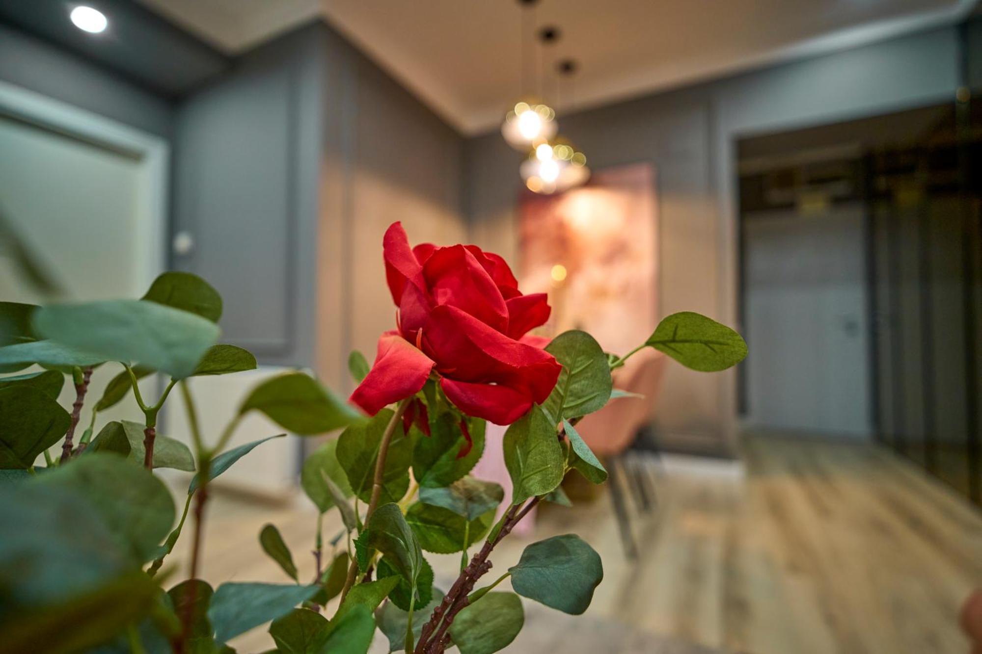 Apartment Cozy Glow Loft Bucharest