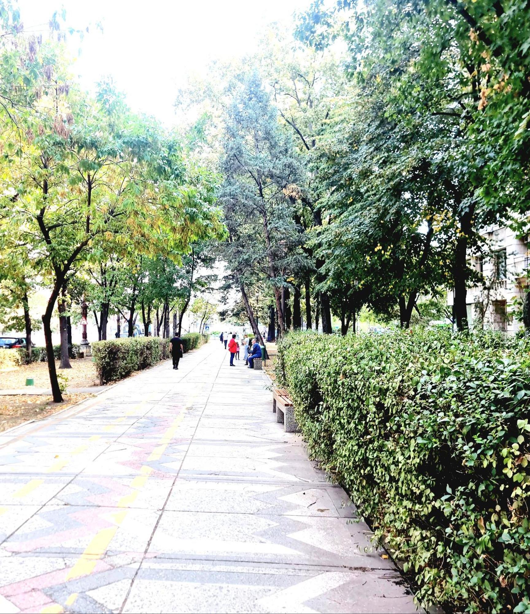 Next 2 Parliament - Tranquil Unirii - Airy & Comfy With Parking Apartment