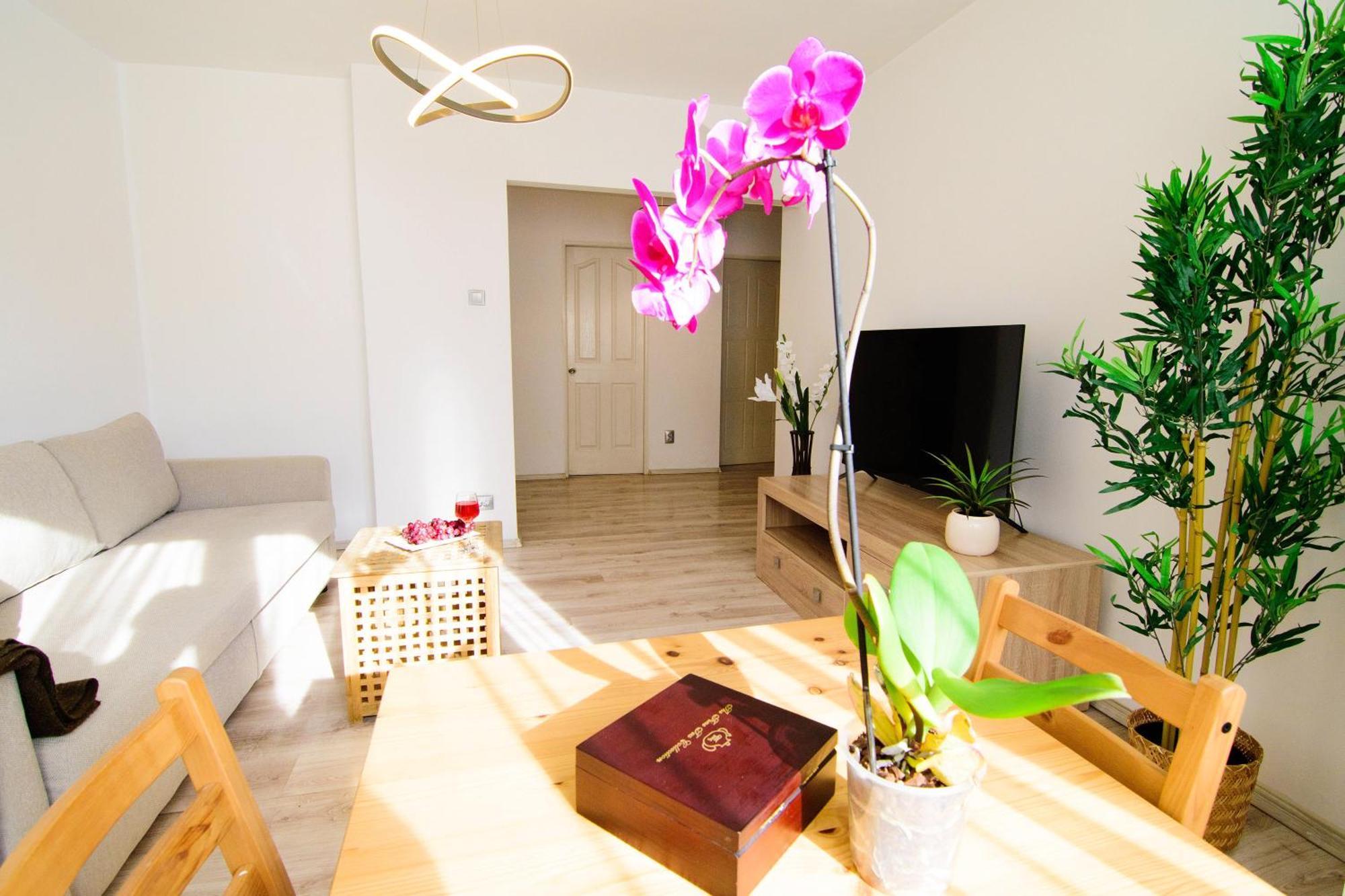 Apartment Center By Alia *
