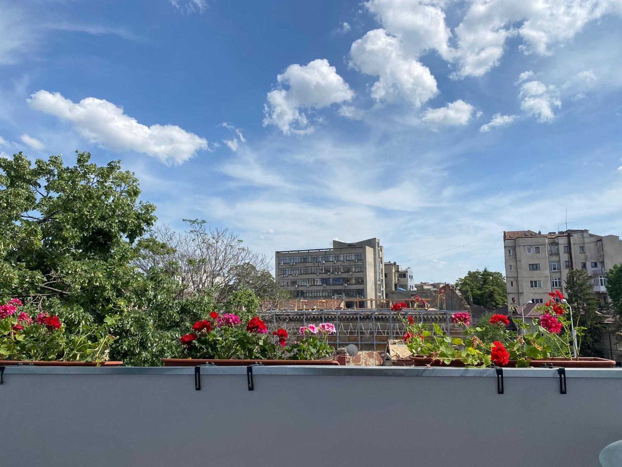 The Linden Apartment Bucharest