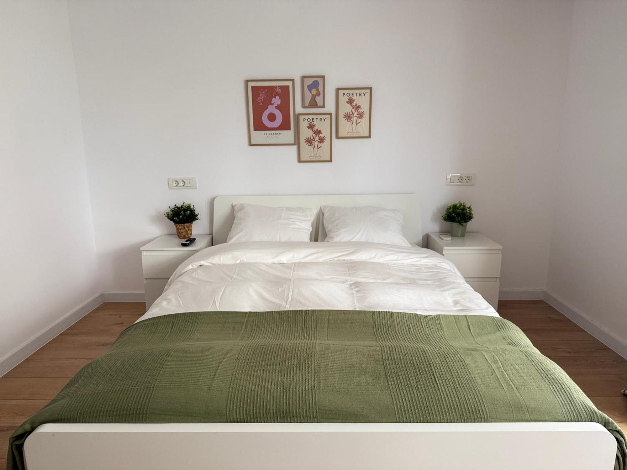 Apartment Kiseleff Park - Piata Victoriei Bucharest