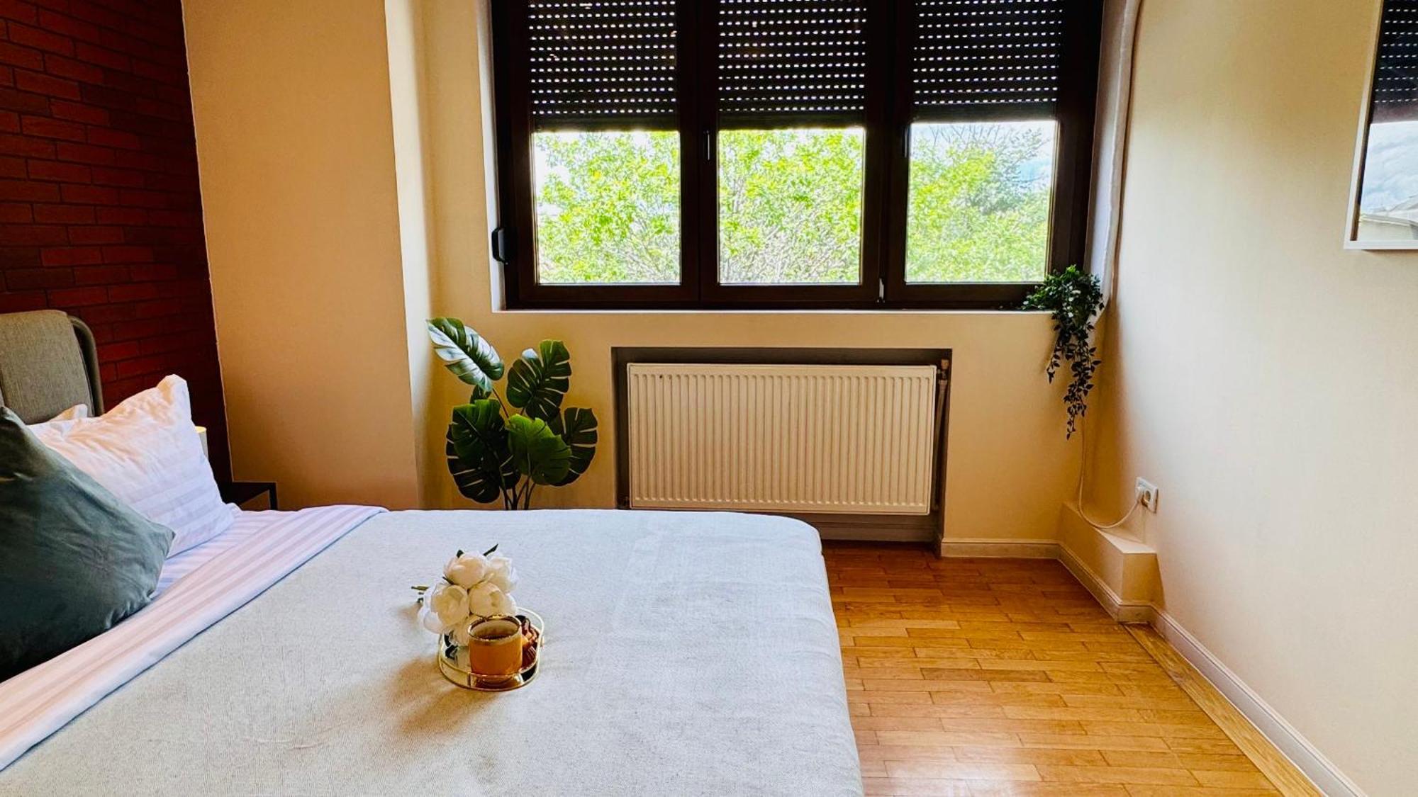 Cozy Modern Retreat - 2 Bedroom Steps From Piata Victoriei Apartment