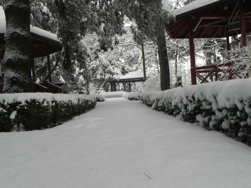 Hotel Baneasa Parc 3*
