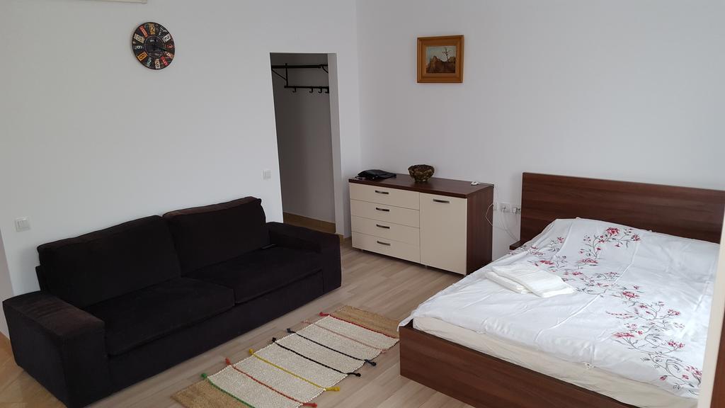 Apartment Garsoniere Dinu *