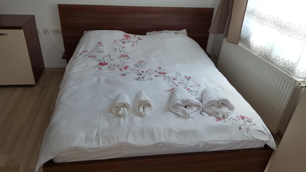 Apartment Garsoniere Dinu