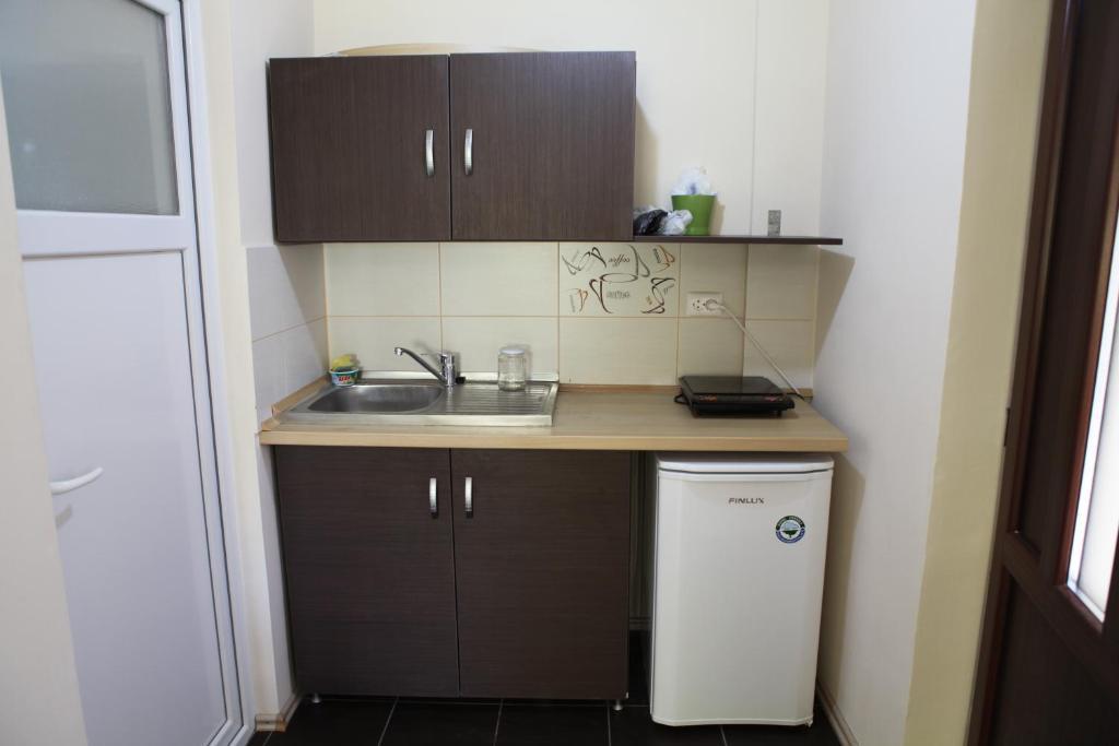 Apartment Titulescu