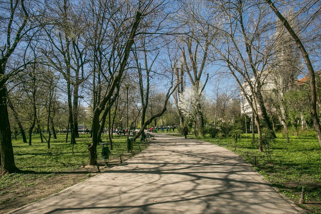 Park By Urbanesq Bucureşti