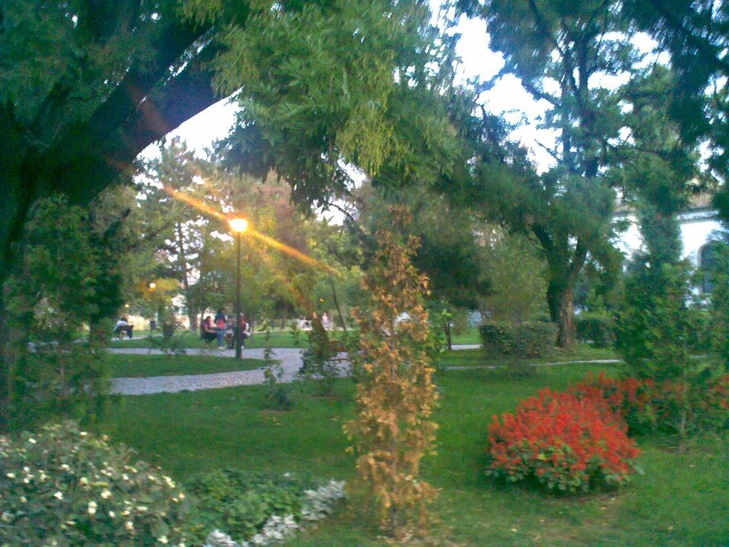Victoriei Square