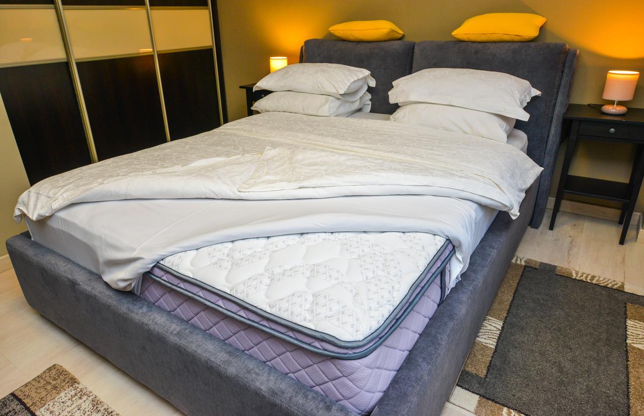 Apartment Romana Lahovary *
