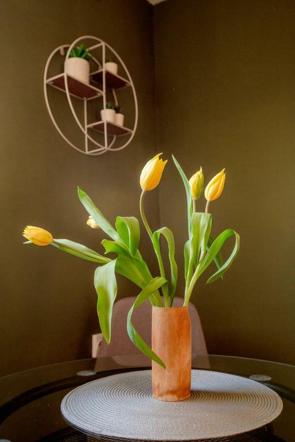Color Downtown Apartment Bucharest