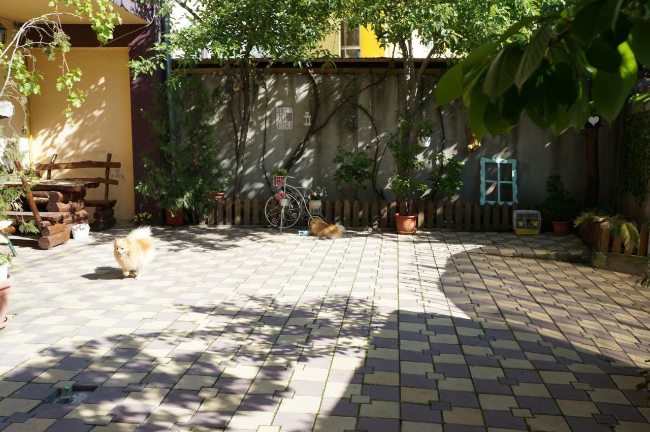 Collosal Apartment *