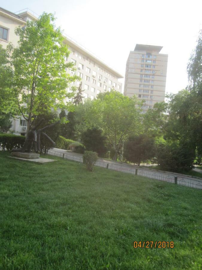 The Location Apartment