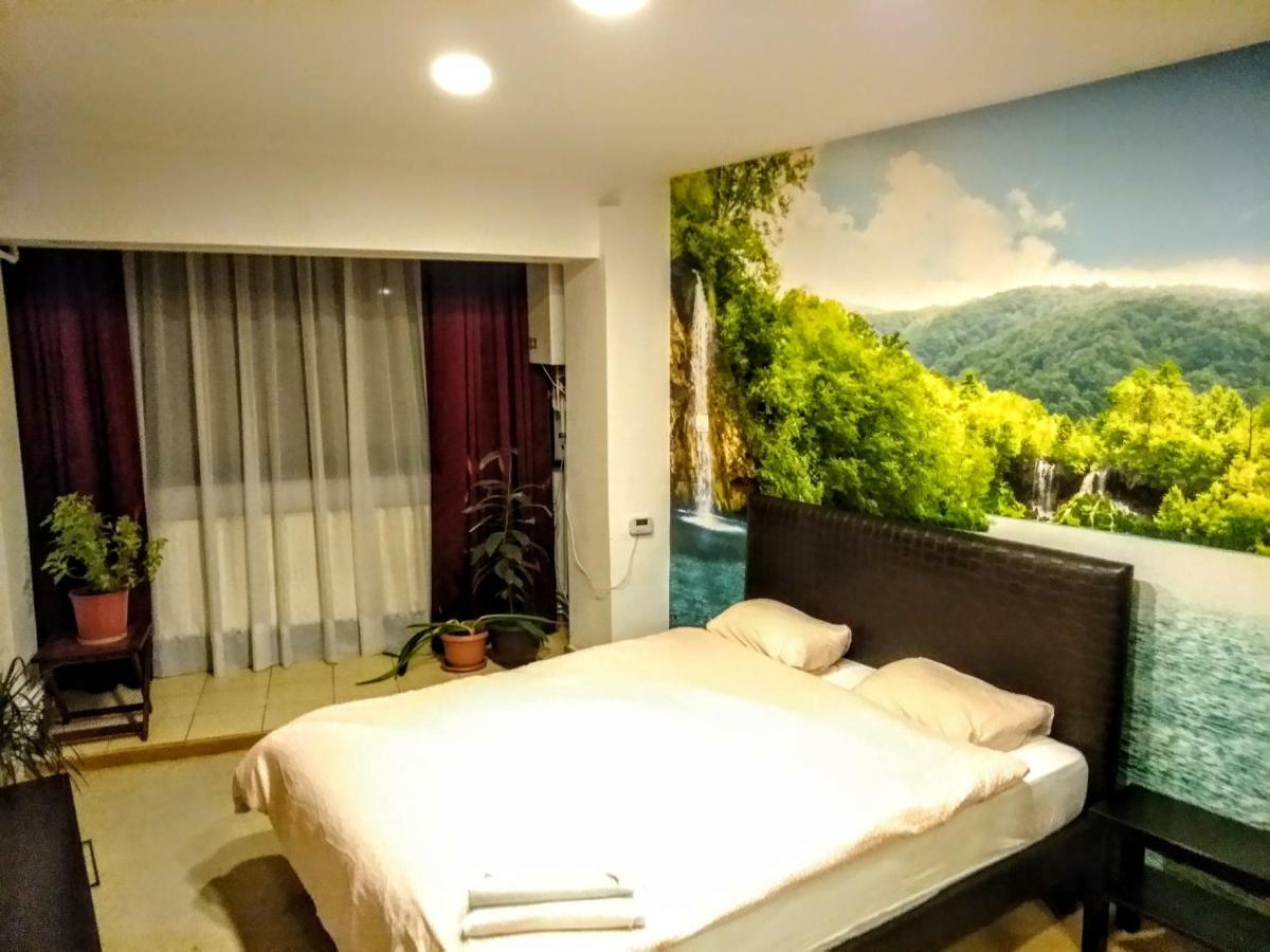 Cozy Downtown Oasis * Bucareste
