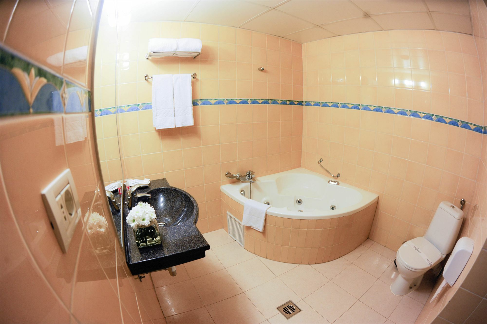 Kosher Hotel Lev Or