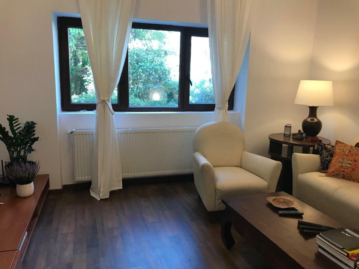 Olympia 23 Studio Bucharest