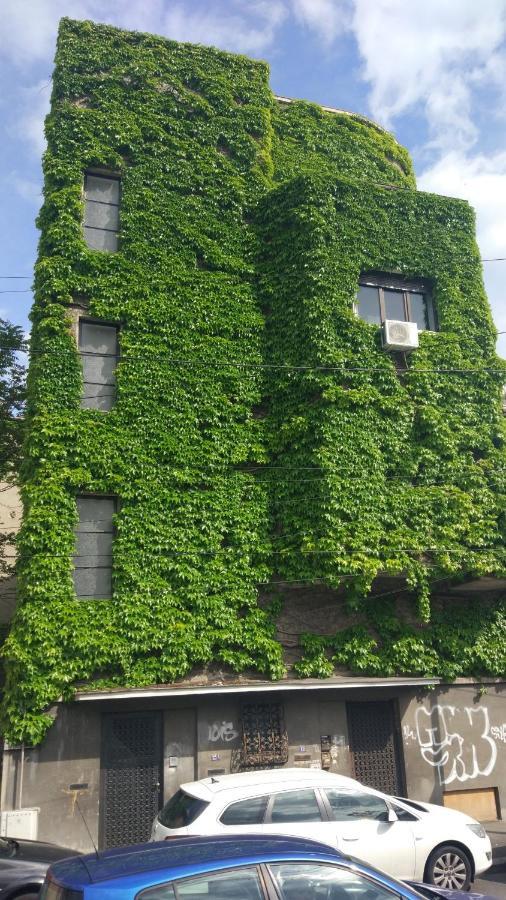 Apartamento House