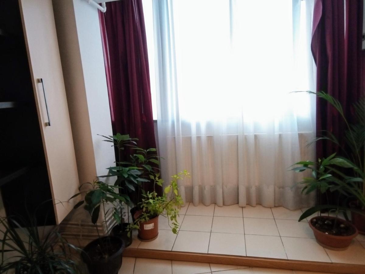 Apartamento Cozy Downtown Oasis Bucareste
