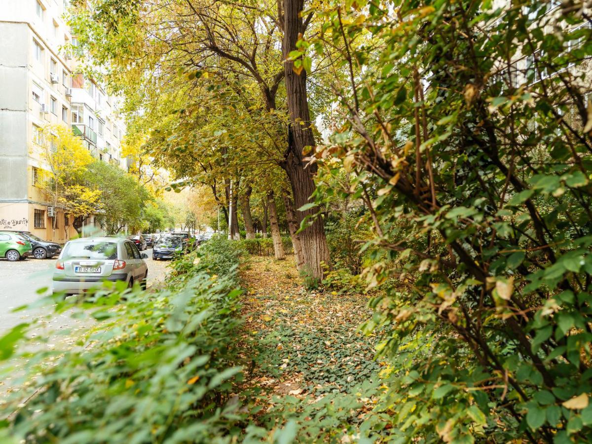 Woody - Cozy And Quiet Place Near Moghioros Park * Bucharest