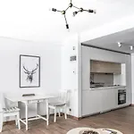 Central Double Studio With Amazing View